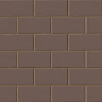 Costa Allegra 3" x 6" x 5/16" Floor and Wall Tile in Timber