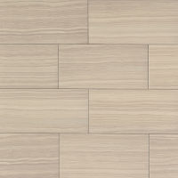 Matrix 12" x 24" x 3/8" Floor and Wall Tile in Classic Tan