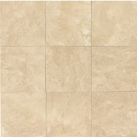 Camargo Venezia 12" x 12" x 3/8" Floor and Wall Tile