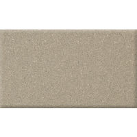 Metropolitan 4" x 8" x 1/2" Floor and Wall Tile in Buckskin