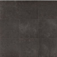 Tribal 18" x 18" x 5/16" Floor and Wall Tile in Broadway