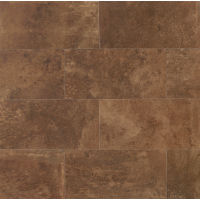 Blende 12" x 24" x 3/8" Floor and Wall Tile in Titian