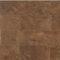 Blende 24" x 48" x 3/8" Floor and Wall Tile in Titian
