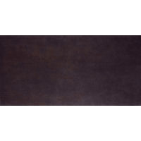 Parkland 24" x 48" x 3/8" Floor and Wall Tile in Acadia