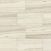 Zebrino 12" x 48" x 3/8" Floor and Wall Tile in Calacatta
