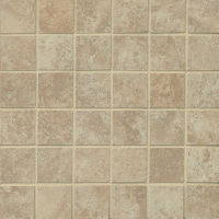 Fantasia 2" x 2" Floor and Wall Mosaic in Almond