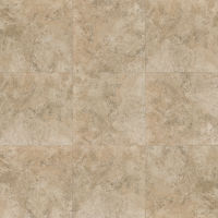 Fantasia 20" x 20" x 3/8" Floor and Wall Tile in Beige