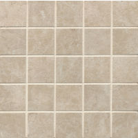 Indiana Stone 2" x 2" Floor and Wall Mosaic in Almond