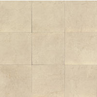 Marfil 20" x 20" x 5/16" Floor and Wall Tile in Bianco