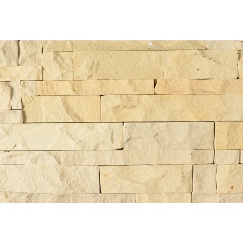 Fossil Sandstone Decorative Tile