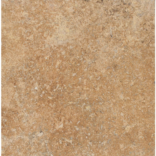 Cesare Magnus 12" x 12" x 3/8" Floor and Wall Tile in Auburn Blaze