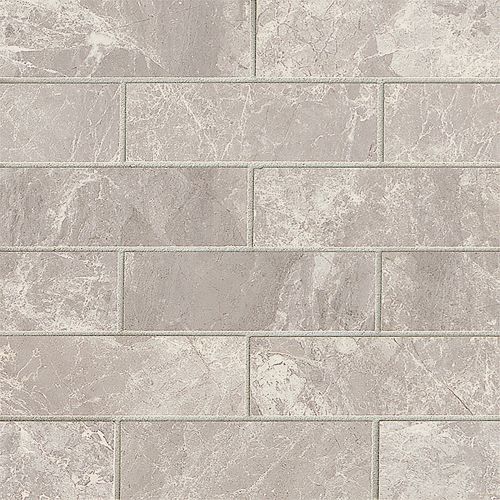 Classic 2" x 6" Floor and Wall Mosaic in Bardiglietto