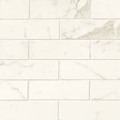 Classic 2" x 6" Floor and Wall Mosaic in Statuarietto