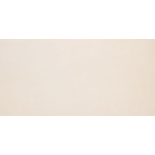 Parkland 24" x 48" x 3/8" Floor and Wall Tile in Shenandoah