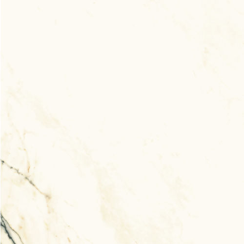 Plane 60" x 60" x 1/4" Floor and Wall Tile in Paonazzetto Vena