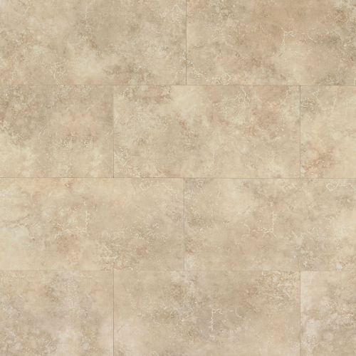 Roma 12" x 24" x 3/8" Floor and Wall Tile in Almond
