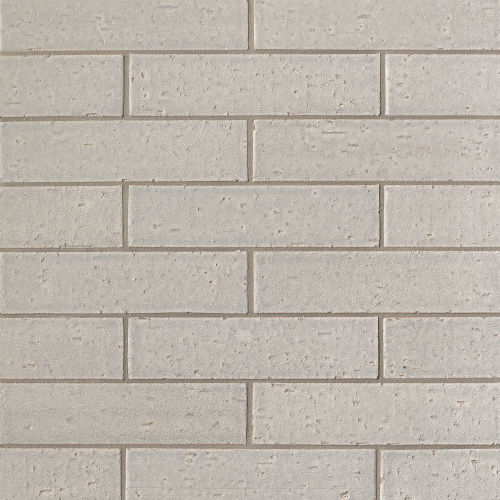 Uptown 2.5" x 9.5" x 3/8" Floor and Wall Tile in Silver