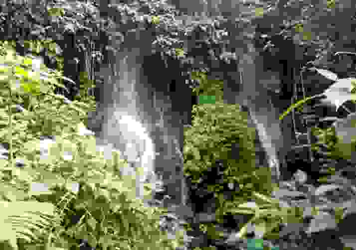 Mount Cameroon National Park (MCNP)