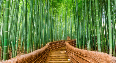 私人旅游示例:经典日本 私人旅游示例:经典日本