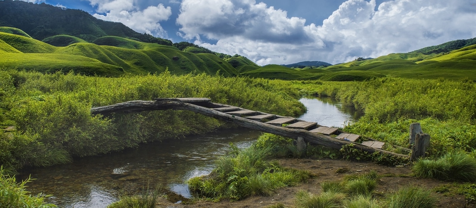 迷人的印度之旅游印度东部'Dzukou'山谷-该山谷位于那加兰邦和曼尼普尔邦的边界 East 印度