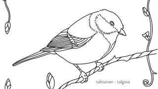 Värityskirja: Väritä pönttöpesijöitä!