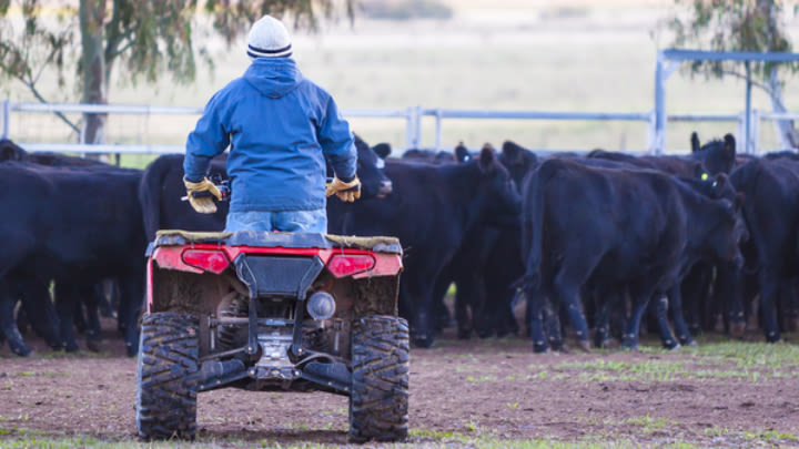 Aussie Helpers provides hope to farming families doing it tough.