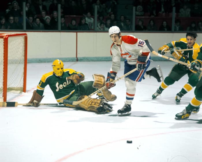 California Golden Seals