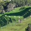 A student studying abroad with University of Otago: Dunedin - Direct Enrollment/Exchange