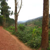 A student studying abroad with SIT Rwanda: Post-Genocide Restoration & Peacebuilding