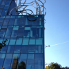 A student studying abroad with Direct Enrollment: London - Goldsmiths, University of London