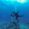 A student studying abroad with The School for Field Studies / SFS: Turks and Caicos Islands - Marine Resource Studies