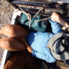 A student studying abroad with Round River Conservation Studies - Namibia Desert Program