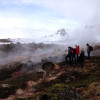 A student studying abroad with DIS - Danish Institute for Study Abroad: Copenhagen - Various Programs