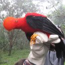SIT Ecuador: Comparative Ecology & Conservation Photo