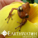 Study Abroad Reviews for Earthwatch: Puerto Rico - Puerto Rico's Rainforest