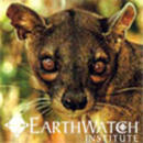 Study Abroad Reviews for Earthwatch: Madagascar - Carnivores of Madagascar