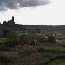 Direct Enrollment: Tuscania - Lorenzo de' Medici - The Italian International Institute Photo