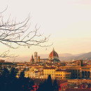 Study Abroad Reviews for New York University: Florence - NYU in Florence