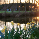 Emerson College: Kasteel Well: The Netherlands Photo