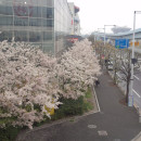 Kyushu University: Fukuoka - Direct Enrollment & Exchange Photo