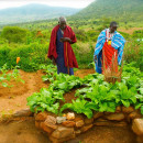 Study Abroad Reviews for Global Service Corps: Tanzania – Fall, Spring and Summer  Service-Learning Community Development Programs