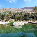 Northwestern College: Muscat - Spring Semester in Oman Photo