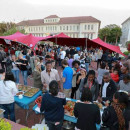 Study Abroad Reviews for USAC South Africa: Stellenbosch - Undergraduate Courses