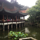 Study Abroad Reviews for Global Experiences: Internships in Shanghai, China