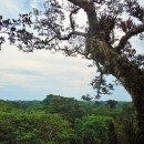 Pachaysana Institute: Ecuador Photo