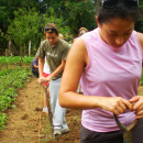 Study Abroad Reviews for CIEE: Santiago - Summer Community Public Health, Dominican Republic