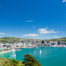 Study Abroad Reviews for API (Academic Programs International): Wellington - Internship Programs in New Zealand