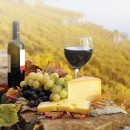 Study Abroad Reviews for WSU Faculty-Led Summer Program - Italy: Food and Wine of Italy