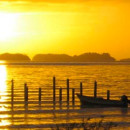 Study Abroad Reviews for NYU Steinhardt: Trinidad - Physical Therapy in a Global Context, January Program