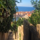  API (Academic Programs International): Dubrovnik - DIU Libertas International University Photo